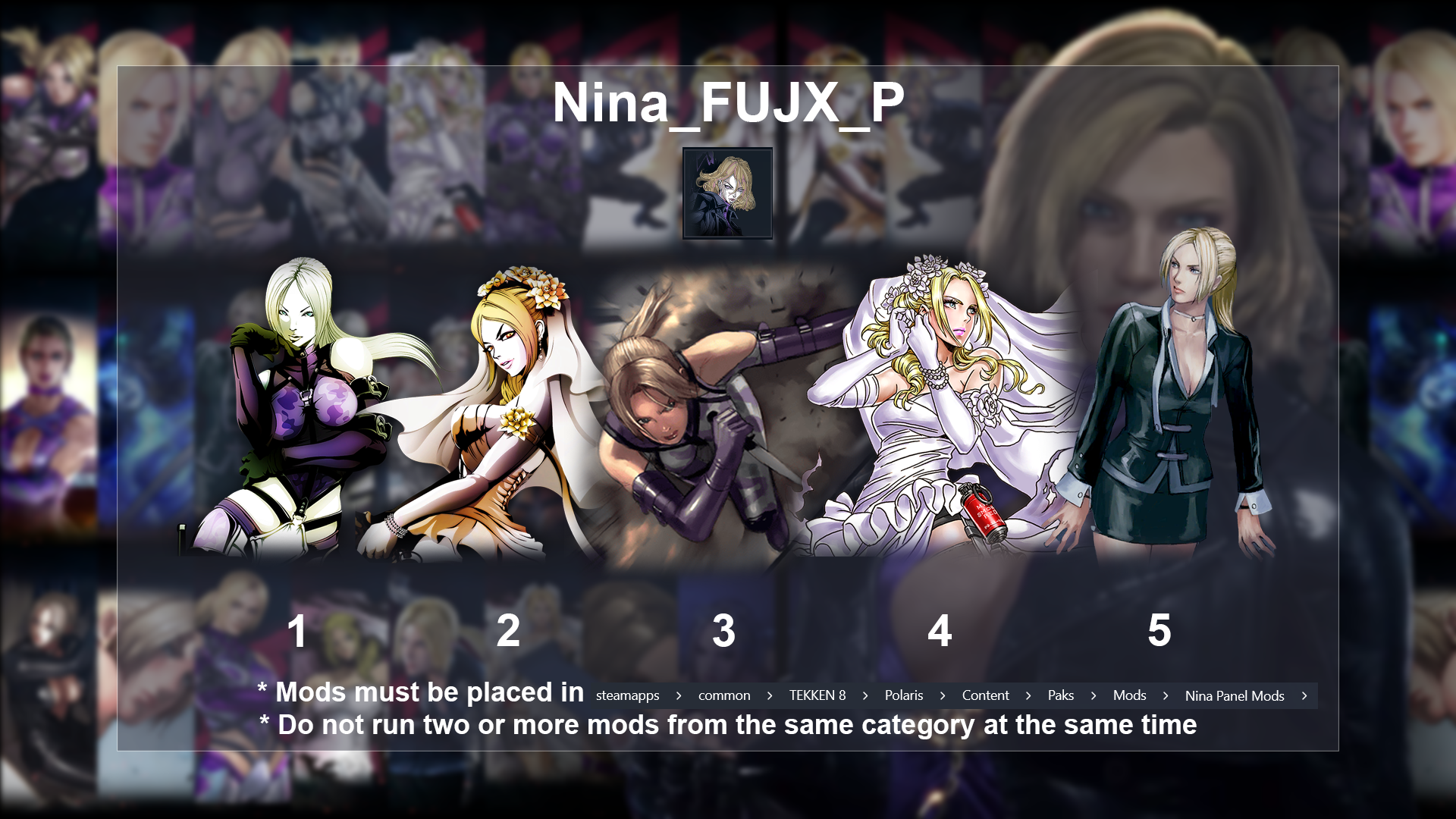TekkenMods - Nina Panels